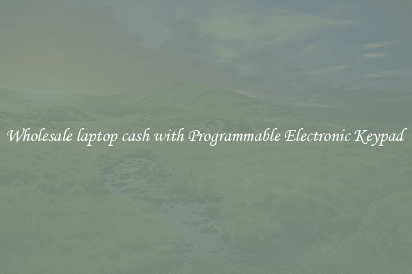 Wholesale laptop cash with Programmable Electronic Keypad 