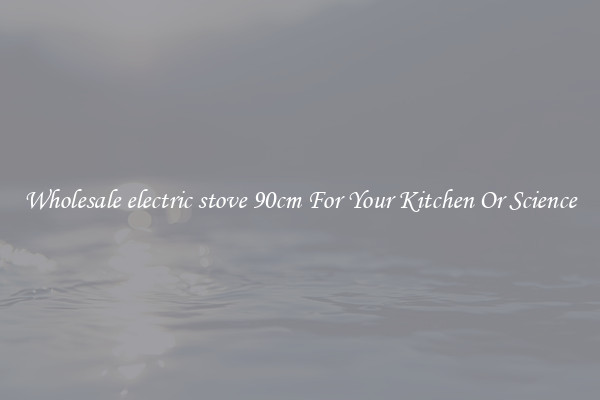 Wholesale electric stove 90cm For Your Kitchen Or Science