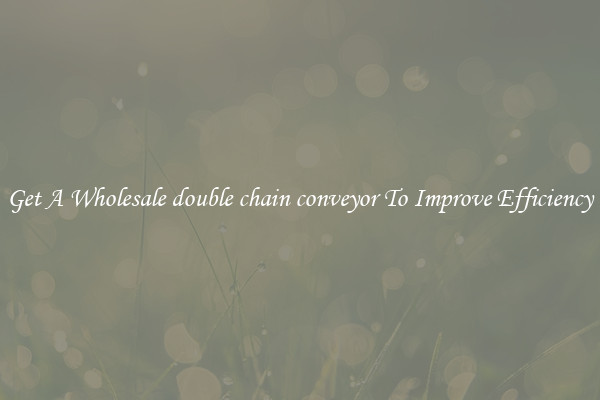 Get A Wholesale double chain conveyor To Improve Efficiency