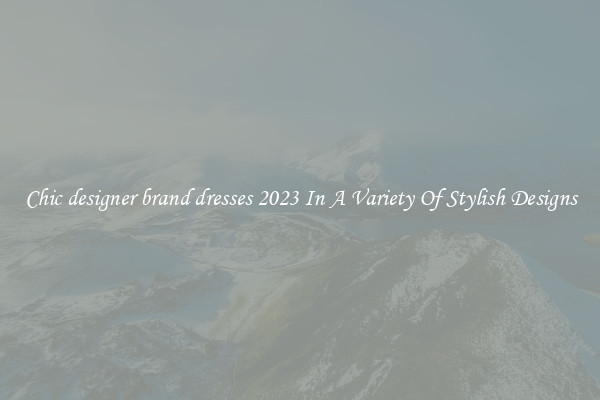 Chic designer brand dresses 2023 In A Variety Of Stylish Designs