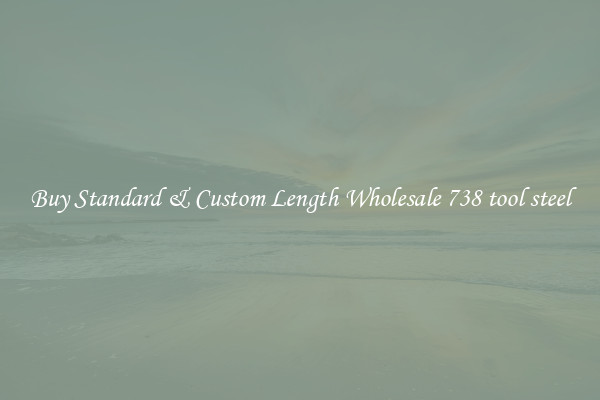 Buy Standard & Custom Length Wholesale 738 tool steel
