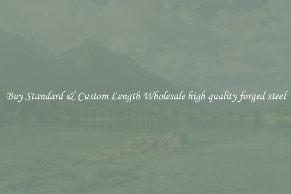 Buy Standard & Custom Length Wholesale high quality forged steel