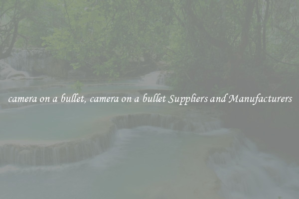 camera on a bullet, camera on a bullet Suppliers and Manufacturers