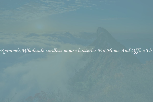 Ergonomic Wholesale cordless mouse batteries For Home And Office Use.