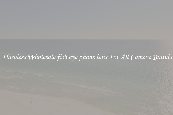 Flawless Wholesale fish eye phone lens For All Camera Brands