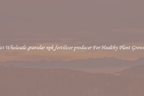 Get Wholesale granular npk fertilizer producer For Healthy Plant Growth