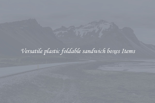 Versatile plastic foldable sandwich boxes Items
