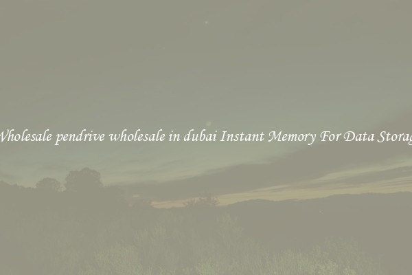 Wholesale pendrive wholesale in dubai Instant Memory For Data Storage