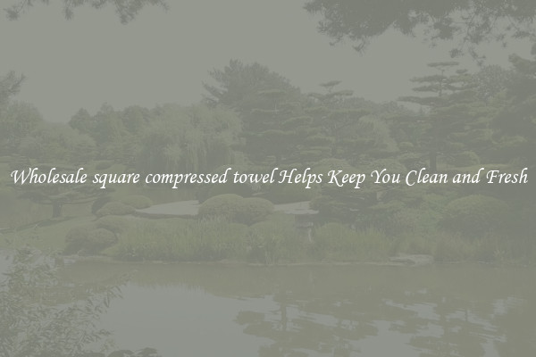 Wholesale square compressed towel Helps Keep You Clean and Fresh