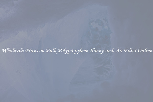 Wholesale Prices on Bulk Polypropylene Honeycomb Air Filter Online