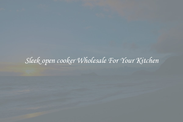Sleek open cooker Wholesale For Your Kitchen