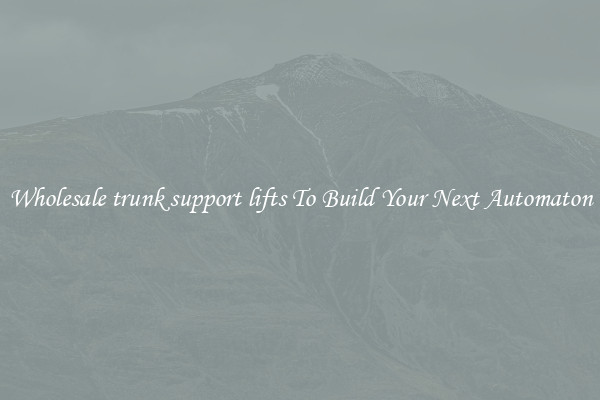 Wholesale trunk support lifts To Build Your Next Automaton