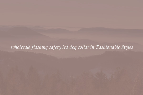 wholesale flashing safety led dog collar in Fashionable Styles