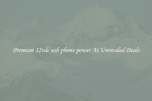 Premium 12vdc usb phone power At Unrivaled Deals