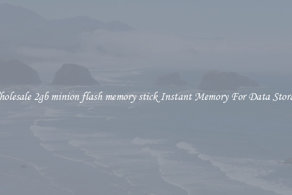 Wholesale 2gb minion flash memory stick Instant Memory For Data Storage