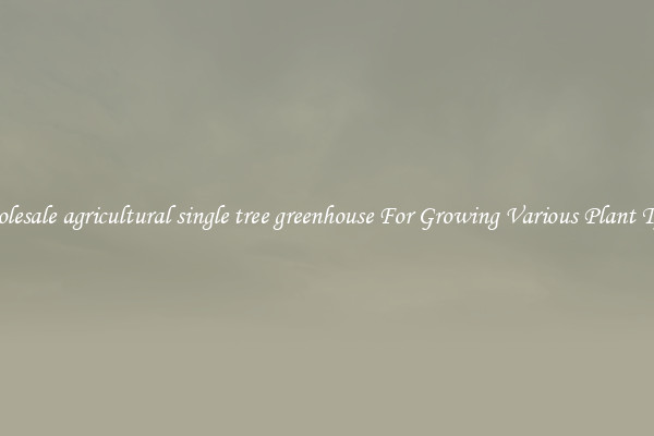 Wholesale agricultural single tree greenhouse For Growing Various Plant Types